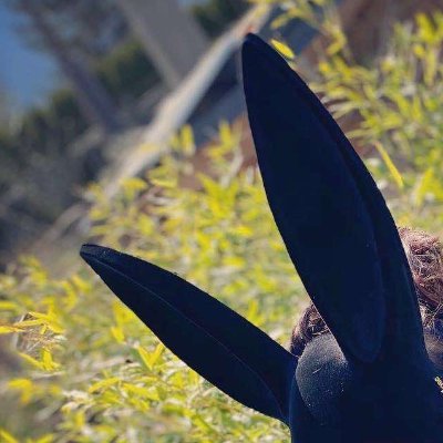 AnnaNovakova001's profile picture. Murka i Zoltorucka. Adventure terapist