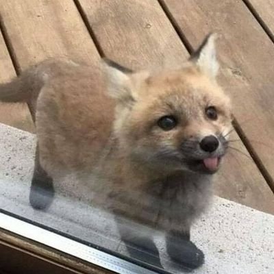 4PoFPxRBozwCGut's profile picture. 