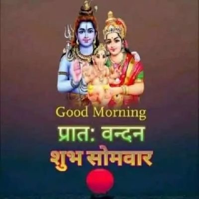 TARACHA08075275's profile picture. 