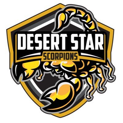 Desert Star School