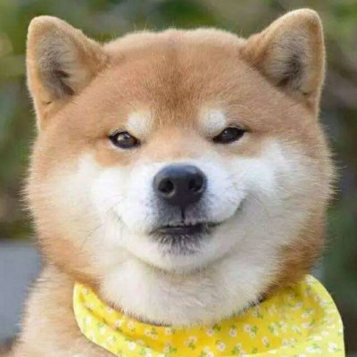 FVEGwCmMdncA5DY's profile picture. 