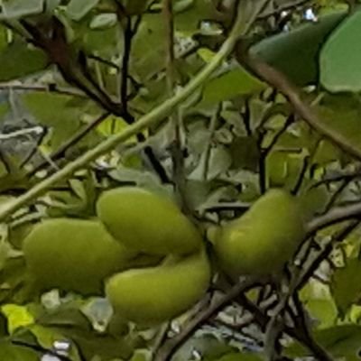 yoko26238664's profile picture. 