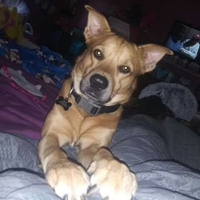 leahsgrandma1's profile picture. 