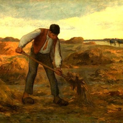 Campesinos20's profile picture. 