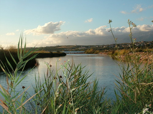 silvanagras's profile picture. 