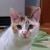 ãã¿ããã«ãã (@poco3118) Twitter profile photo ãã¿ããã«ãã (@poco3118) Twitter profile photo