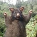 Ameliaevans27's profile picture. 🦀