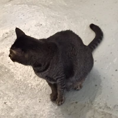 LZeroCKY's profile picture.