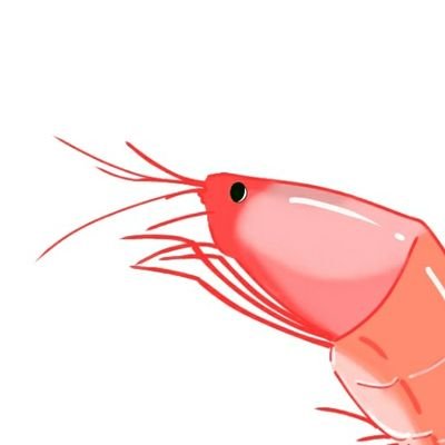 てるまささんのプロフィール画像