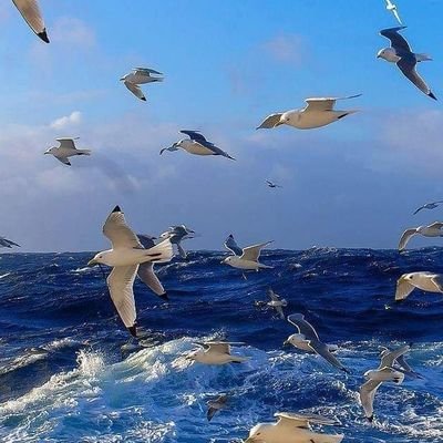 nE3gkoxxec0gc8v's profile picture. 