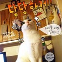 jackie chong - @happybuja - Twitter