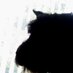 Woof! Enough is Enough (@karlsmi00479109) Twitter profile photo Woof! Enough is Enough (@karlsmi00479109) Twitter profile photo