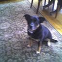 Steve Weitzner - @CleveSteve - Twitter