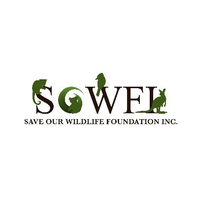 South Australian nonprofit wildlife rescue service. Guaranteed 24/7 response 08-7120-6610. Please donate now at https://t.co/VWm1jVK4gH