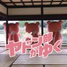 Udonken_Yadonbu's profile picture. うどんとヤドンをこよなく愛するうどん県ヤドン部公式アカウントです。 うどん県の魅力をヤドンとともに紹介します。 ©Pokémon. ©Nintendo/Creatures Inc./GAME FREAK inc.
