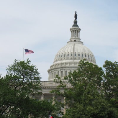 Freweeln's profile picture. 