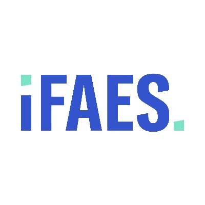 ifaes Profile Picture