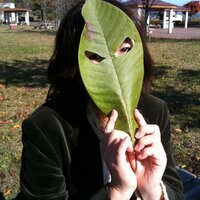 kayokosan (@pkpk_dragon) Twitter profile photo