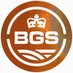 BGS Space Weather (@BGSspaceWeather) Twitter profile photo
