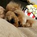 まるるん (@maruruntraveler) Twitter profile photo まるるん (@maruruntraveler) Twitter profile photo