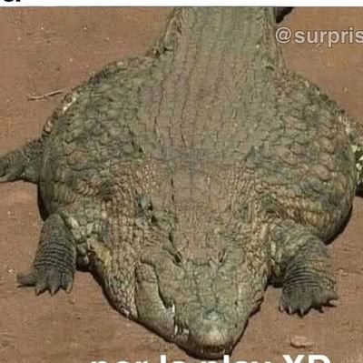 Hi! this is an account to follow people that I do not want to follow in my main account :P (because I want privacy) if you want to follow me im @al3xpan