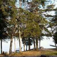 Tracy Batchelor (@tracybatch) 's Twitter Profile