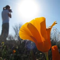 Jennifer Williams (@jlwilliams12) 's Twitter Profile Photo