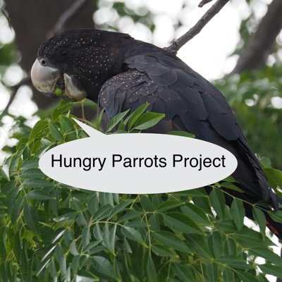 #CitizenScience to collect data on natural & novel diets of wild parrots. Pls report & tag with #HungryParrots. Not a falafel truck. Managed by @_erikaroper.