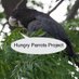 Hungry Parrots Project (@Hungry_Parrots) Twitter profile photo