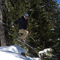 Rogier Bartels (@rogierbartels) 's Twitter Profile