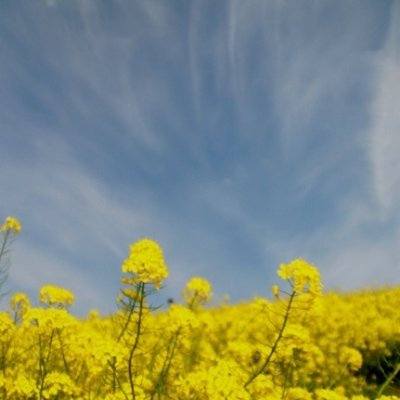 yama_marketing's profile picture. BtoB Marketing ｜マーケティングに関する情報収集【関心テーマ】教育、ICT教育、マーケティング | リサーチ｜#BtoB #marketing