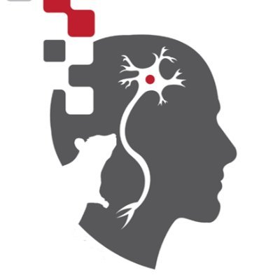 Entreprise innovante œuvrant dans l'évaluation de la neurotoxicité des produits chimiques de l'environnement