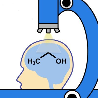 NIAAA-funded P50 Alcohol Research Center with a focus on treatment implications embracing multidisciplinary and translational research