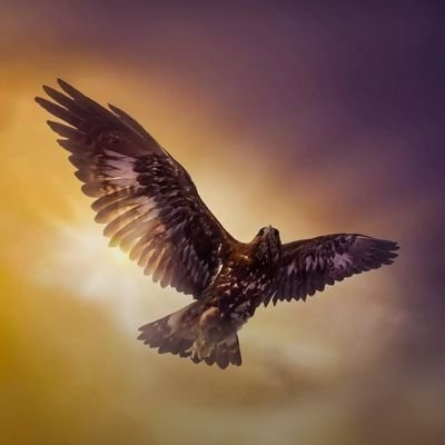 SalmaBa59837443's profile picture. Rajasthan madarsa para teacher (4th)