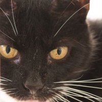 Charity VP (@charityveep) 's Twitter Profile