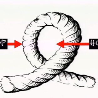 tintsle's profile picture. 