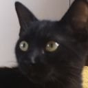 834u_P177's profile picture. Informatischlag, mercenaire de l'ESR

https://t.co/jZ2JKjZWtz
https://t.co/kgjhSn2vB5