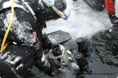 skyatlas78's profile picture. 