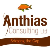 Anthias Consulting (@anthiasconsult) 's Twitter Profile Photo Anthias Consulting (@anthiasconsult) 's Twitter Profile Photo
