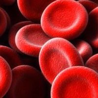 #STEMCELLSCOUSERS (@dunne2kev) 's Twitter Profile Photo #STEMCELLSCOUSERS (@dunne2kev) 's Twitter Profile Photo