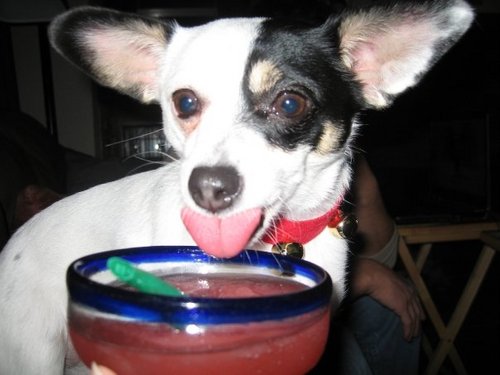 LauraLimby's profile picture. You need chaos in your soul to give birth to a dancing star - Friedrich Nietzsche