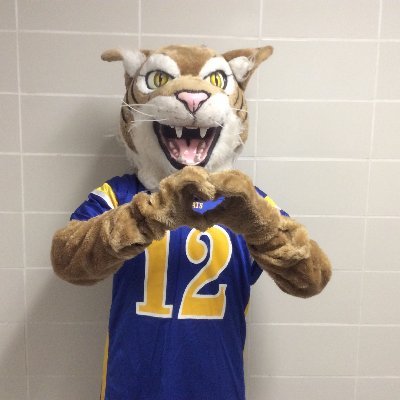 Official Twitter account for Humboldt High School in Humboldt, Iowa.