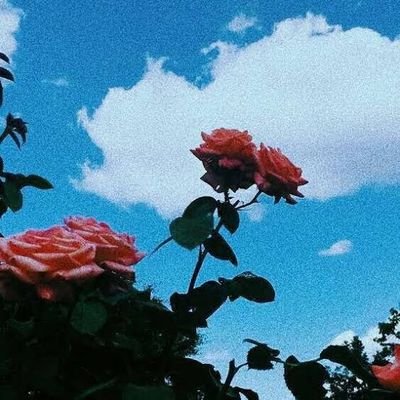 AtaberkUcoz's profile picture. 