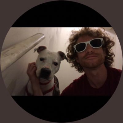 TweetingbyMatt's profile picture. Once you've played Mario Lost World everything else is easy