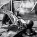 Dennett Boat Builder (@dennettboat) Twitter profile photo Dennett Boat Builder (@dennettboat) Twitter profile photo
