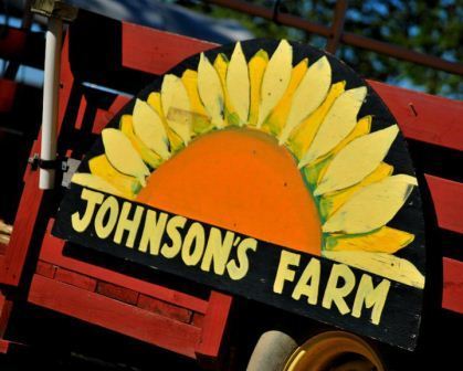 Farm,  Market & Bakery, Family Fun, Hayrides, Pick Your Own. Garden Center, Farm School Field Trips, Discovery Barnyard, and Animal Farm