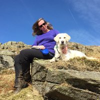 Linda Hollingworth (@lindahollingwo1) 's Twitter Profile