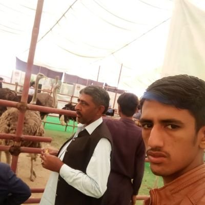 Sanaull01981166's profile picture. 