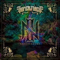 Tropical Forest (@tfreggae) 's Twitter Profile