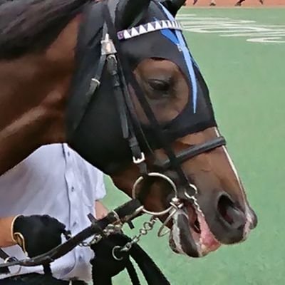 ほぼ馬体考察のみで馬券予想を組み立ててます。
近走の比較でスピード気質さやパワー気質さ等々を見極めて、今日走る馬を探します。

数多くの的中は期待できませんが、回収重視で競馬をやっています‼️

では、ヨロシクお願いします🎵